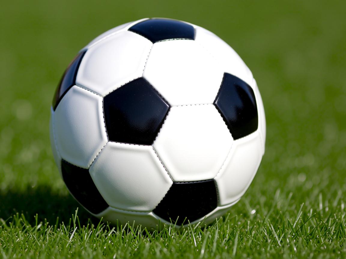 开云体育app官网-“2025世界运动会：东安湖体育公园迎接跑酷与龙舟新挑战”